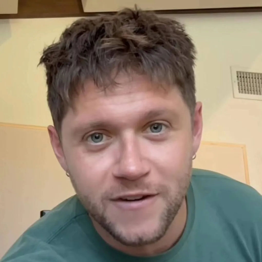 chat with ai character: Niall Horan
