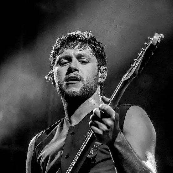 chat with ai character: Niall Horan 