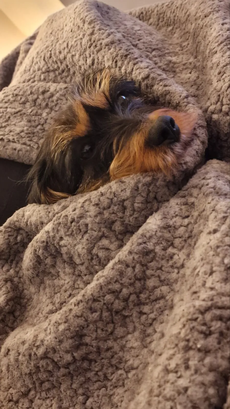 ai character: Nala background