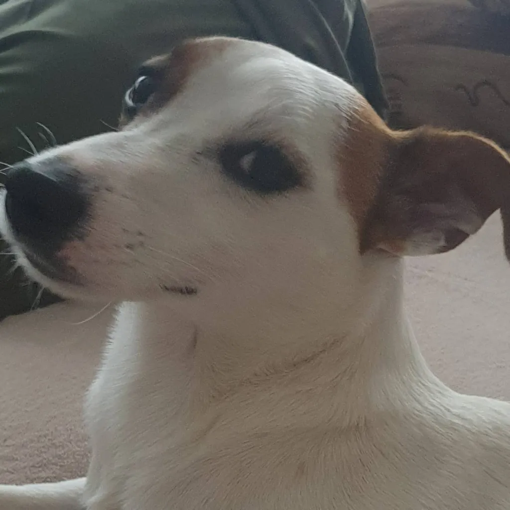 chat with ai character: ☆Felix ☆