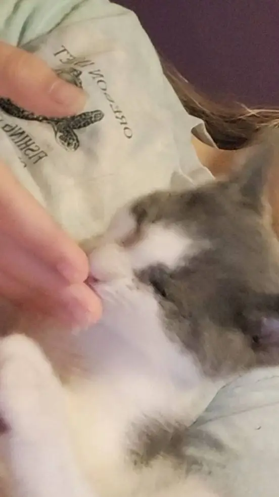 ai character: lewis background