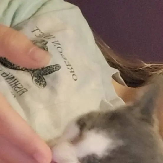 chat with ai character: lewis