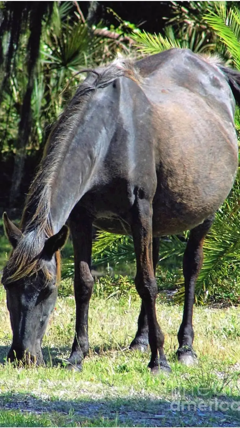ai character: Bloated horse background