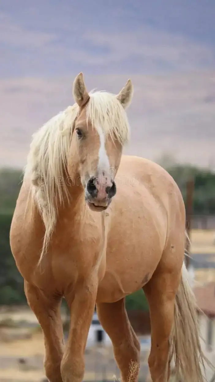 ai character: Barney background