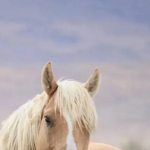 chat with ai character: Barney