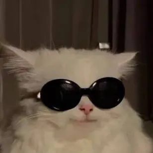 chat with ai character: YOUTUBERS 🎀