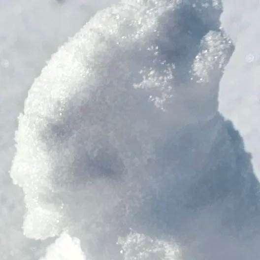 chat with ai character: CHRISTMAS! 