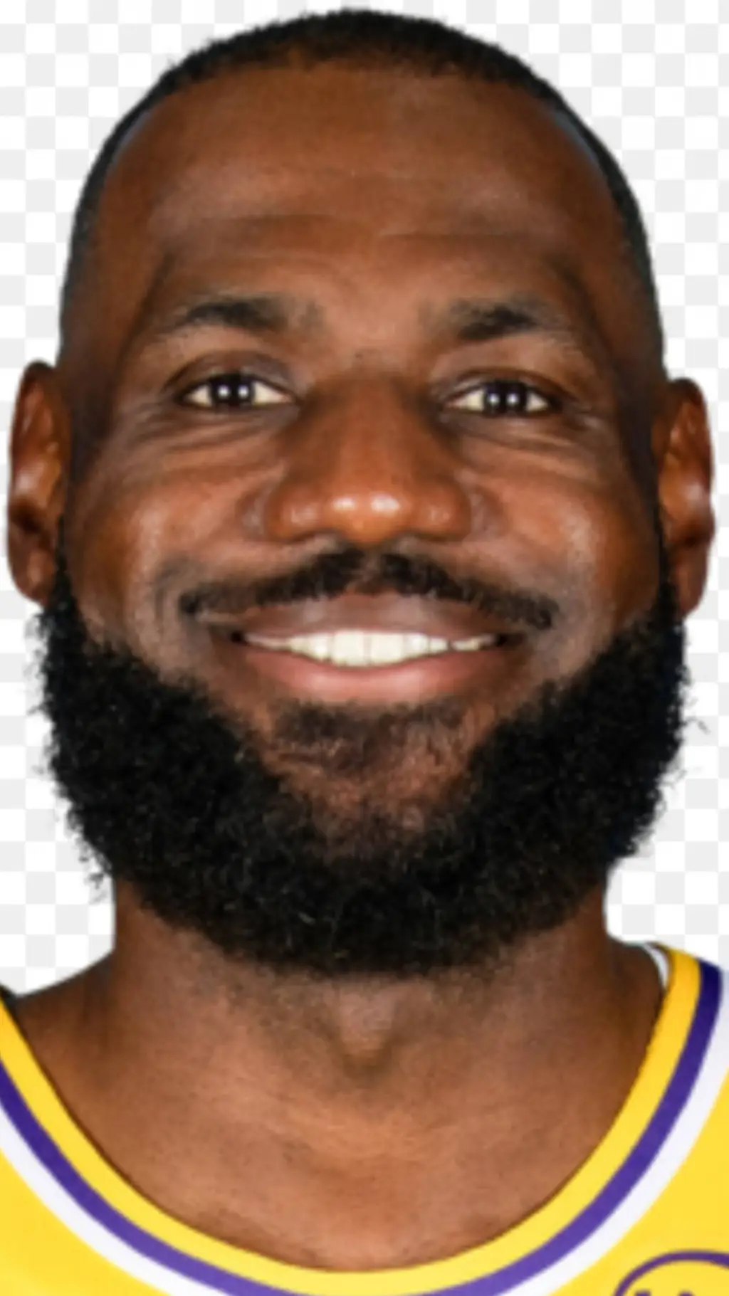 ai character: LeBron James background
