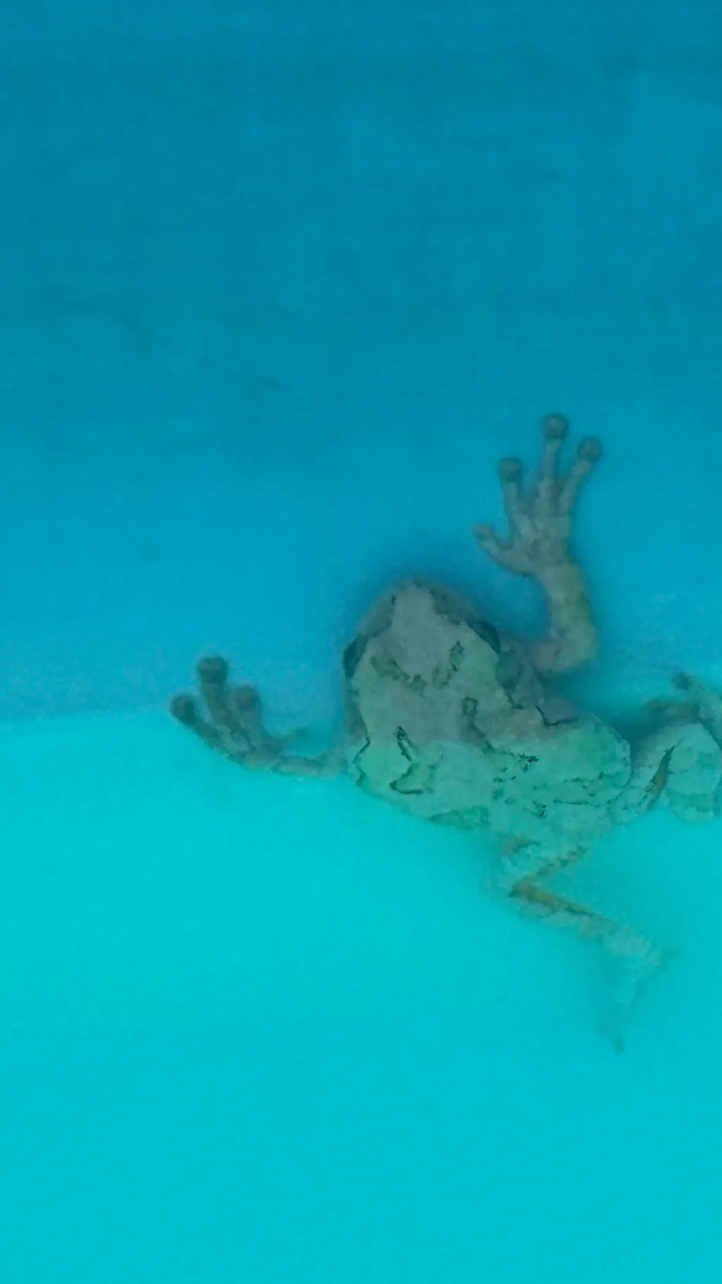 ai character: A Frog In The Pool background