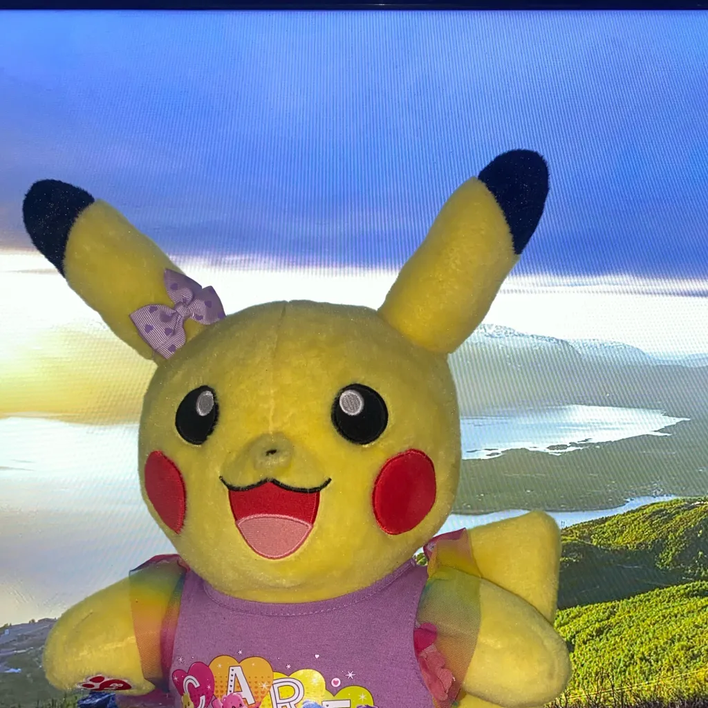 chat with ai character: Pikachu plushie