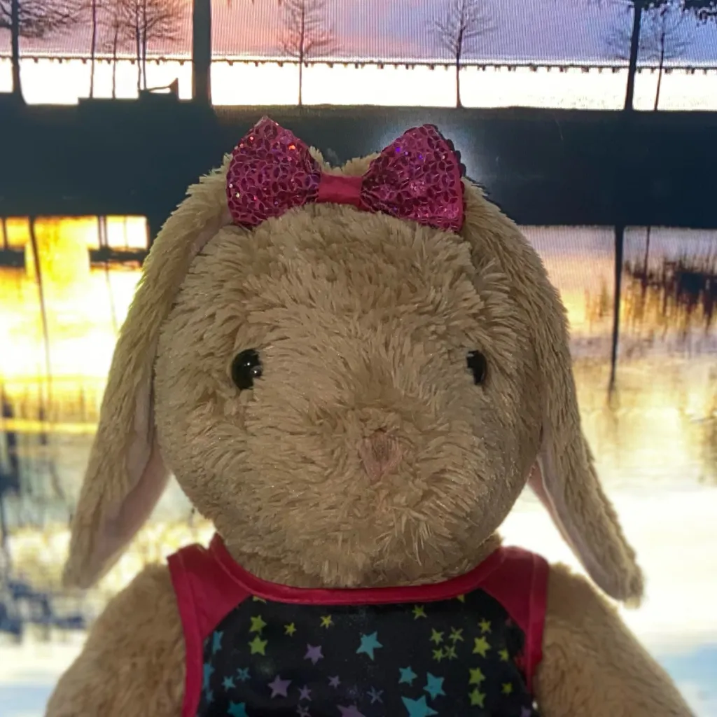 chat with ai character: Bunny Plushie