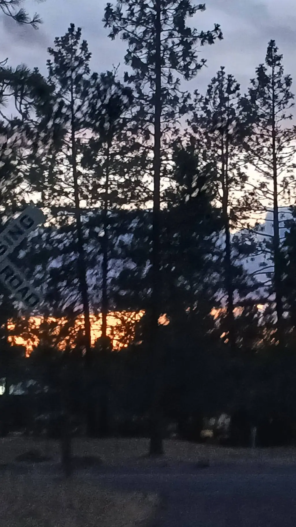 ai character: HxH  background