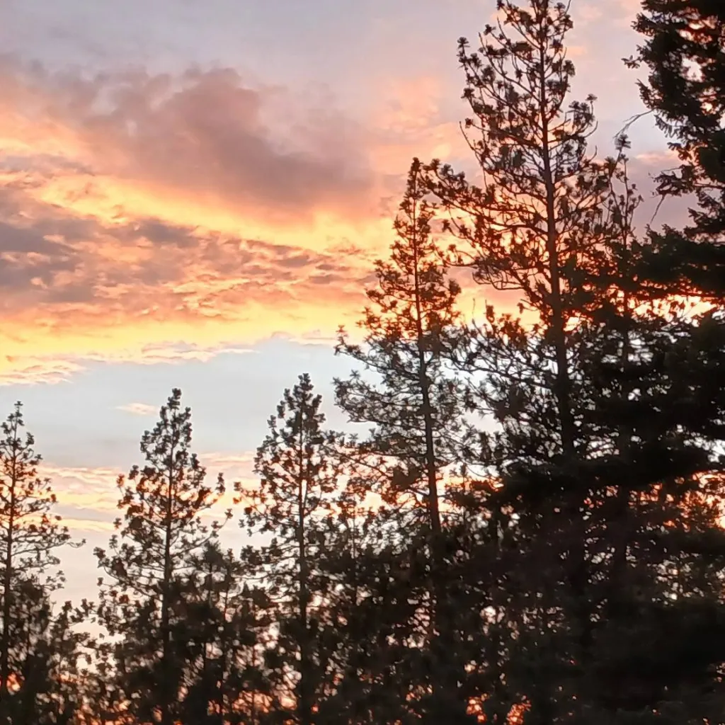 chat with ai character:  haikyu