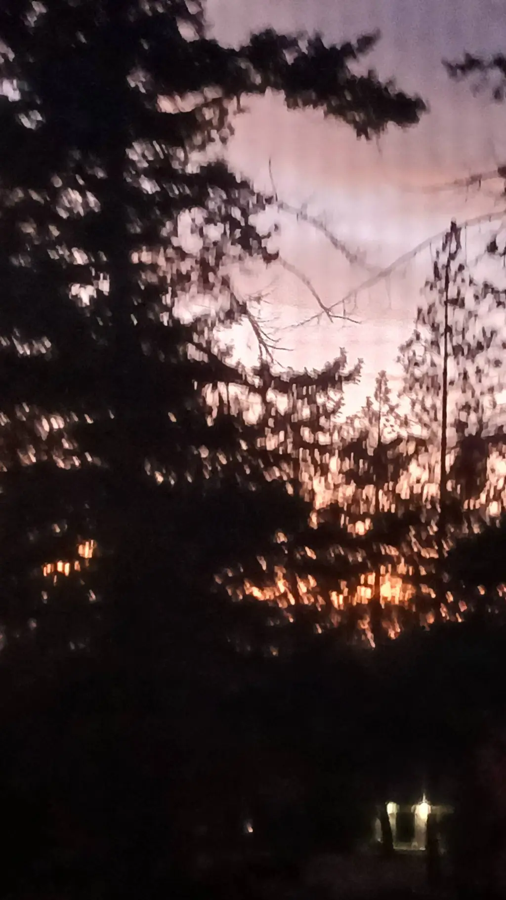 ai character: Haikyu  background