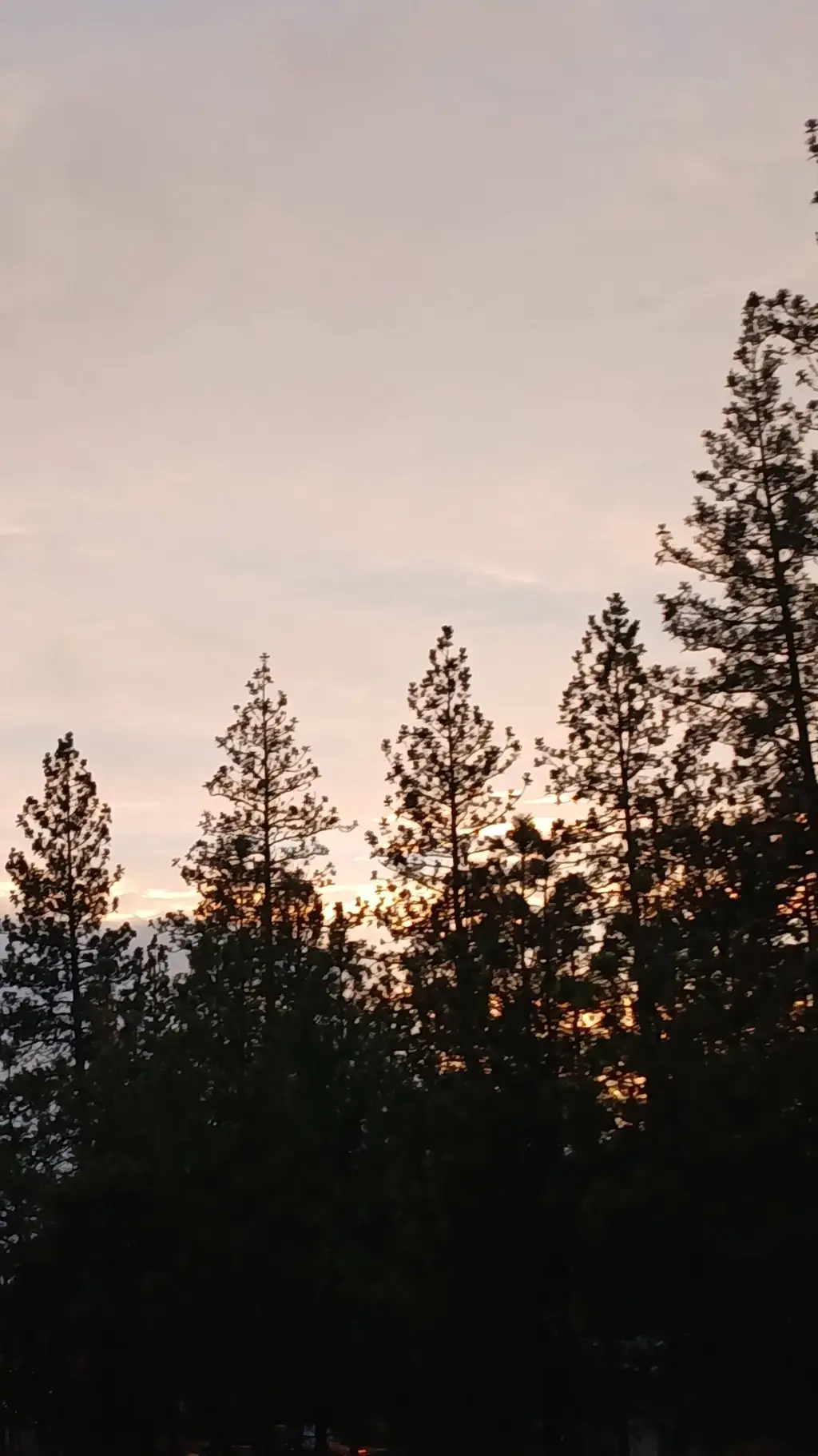 ai character: MHA background