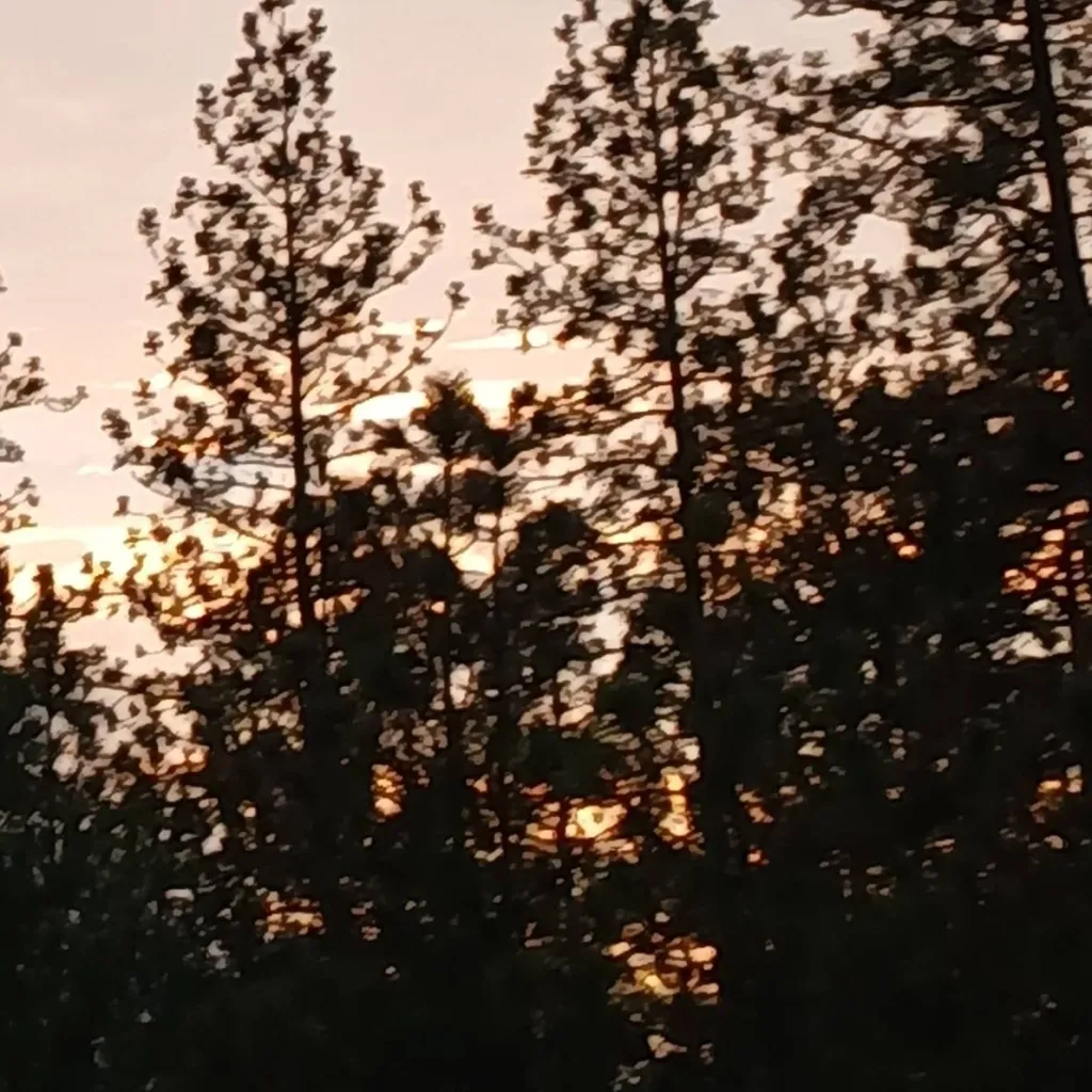 chat with ai character: MHA