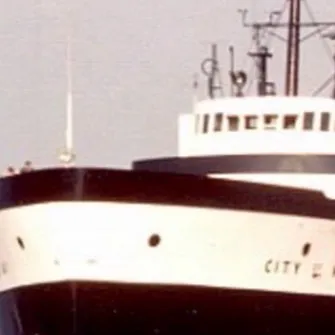 chat with ai character: City Of Midland 41