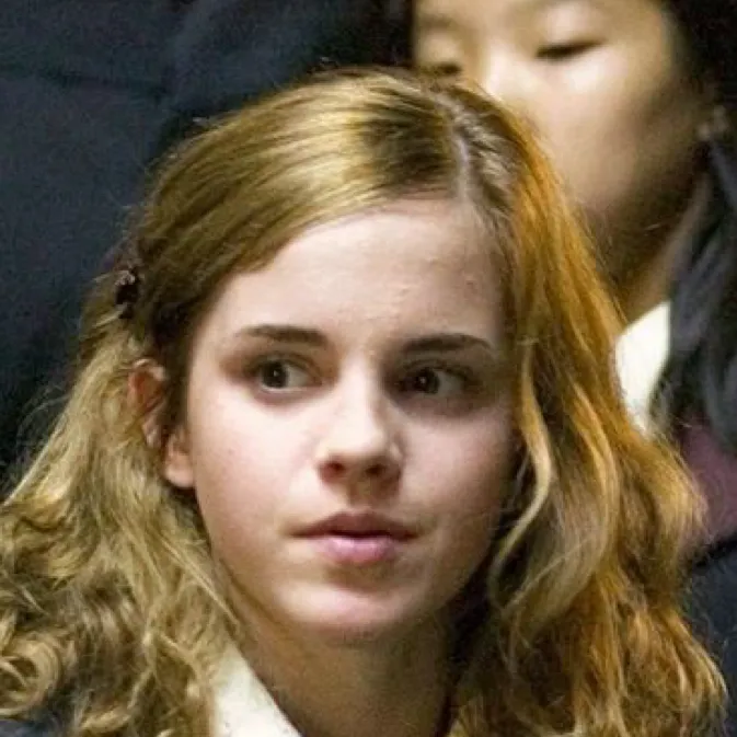 chat with ai character: Hermione Granger
