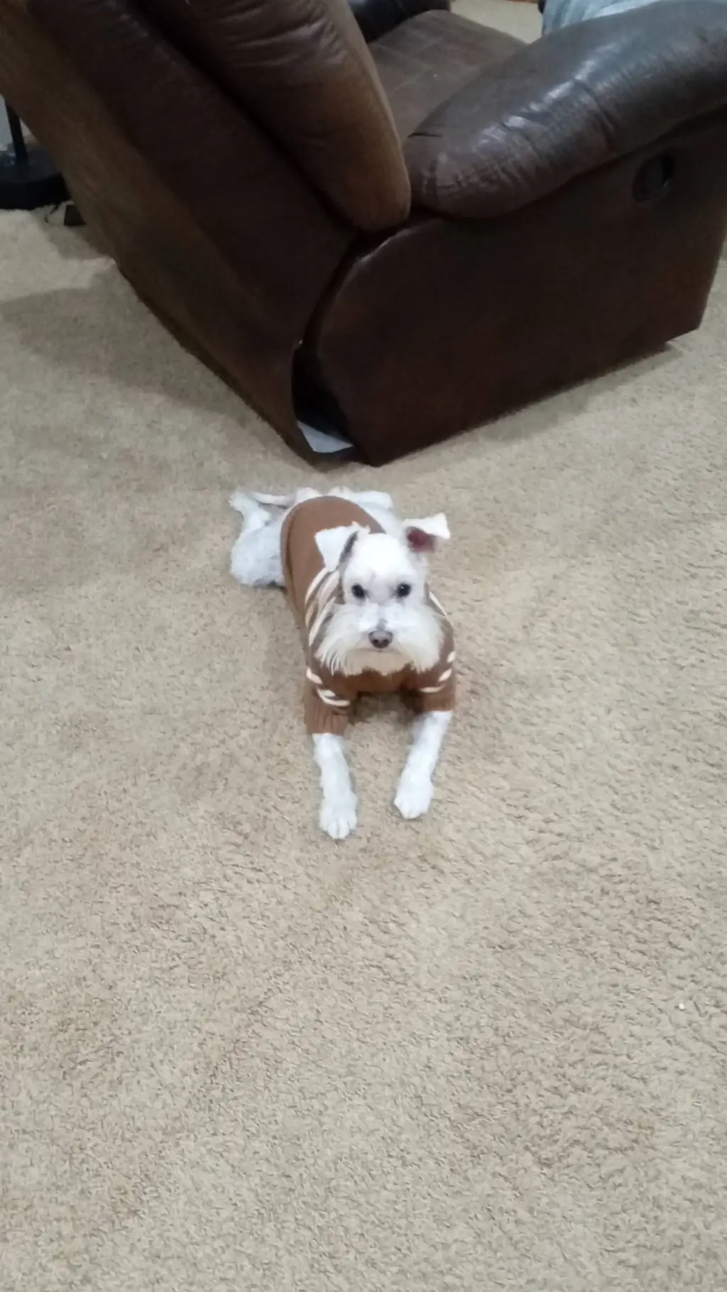 ai character: sherman background