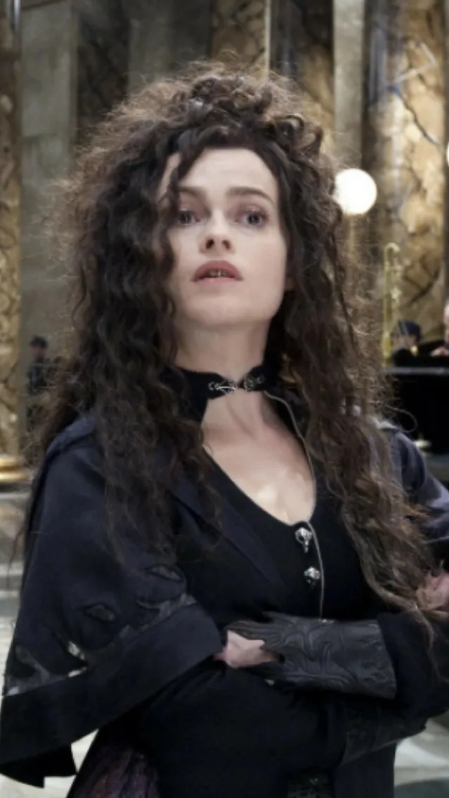 ai character: Y/n Lestrange background