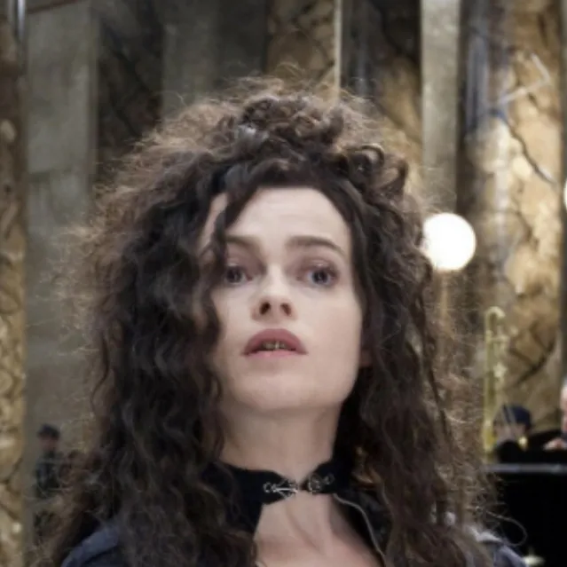 chat with ai character: Y/n Lestrange