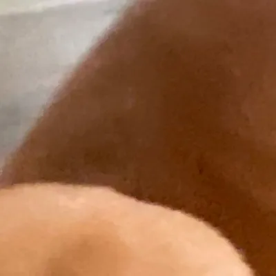 chat with ai character: My dog