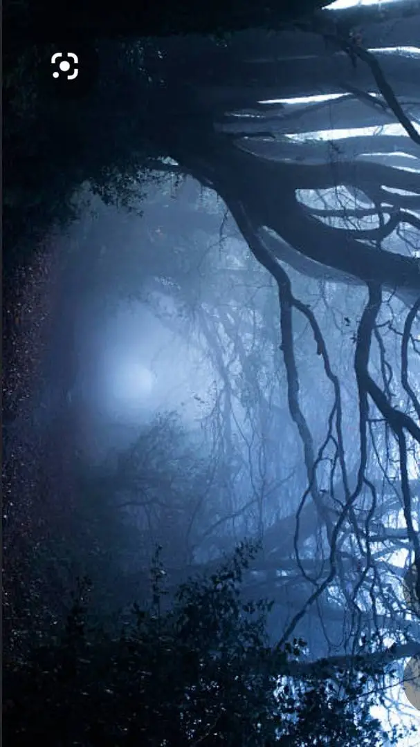 Talkie AI - Chat with TVD,TO,L