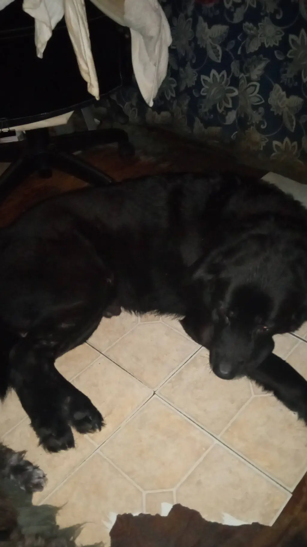 ai character: zues background