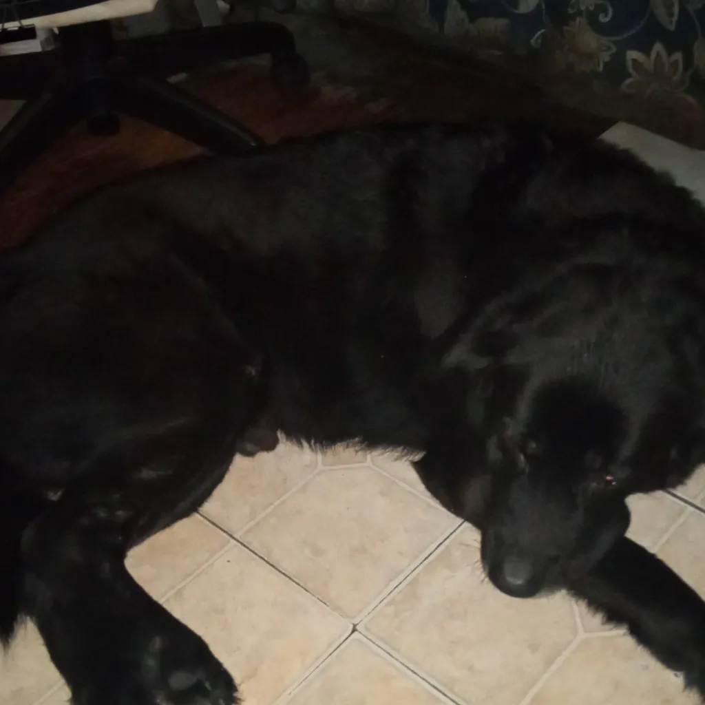 chat with ai character: zues