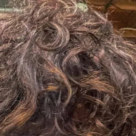 chat with ai character: Eathen Hernández