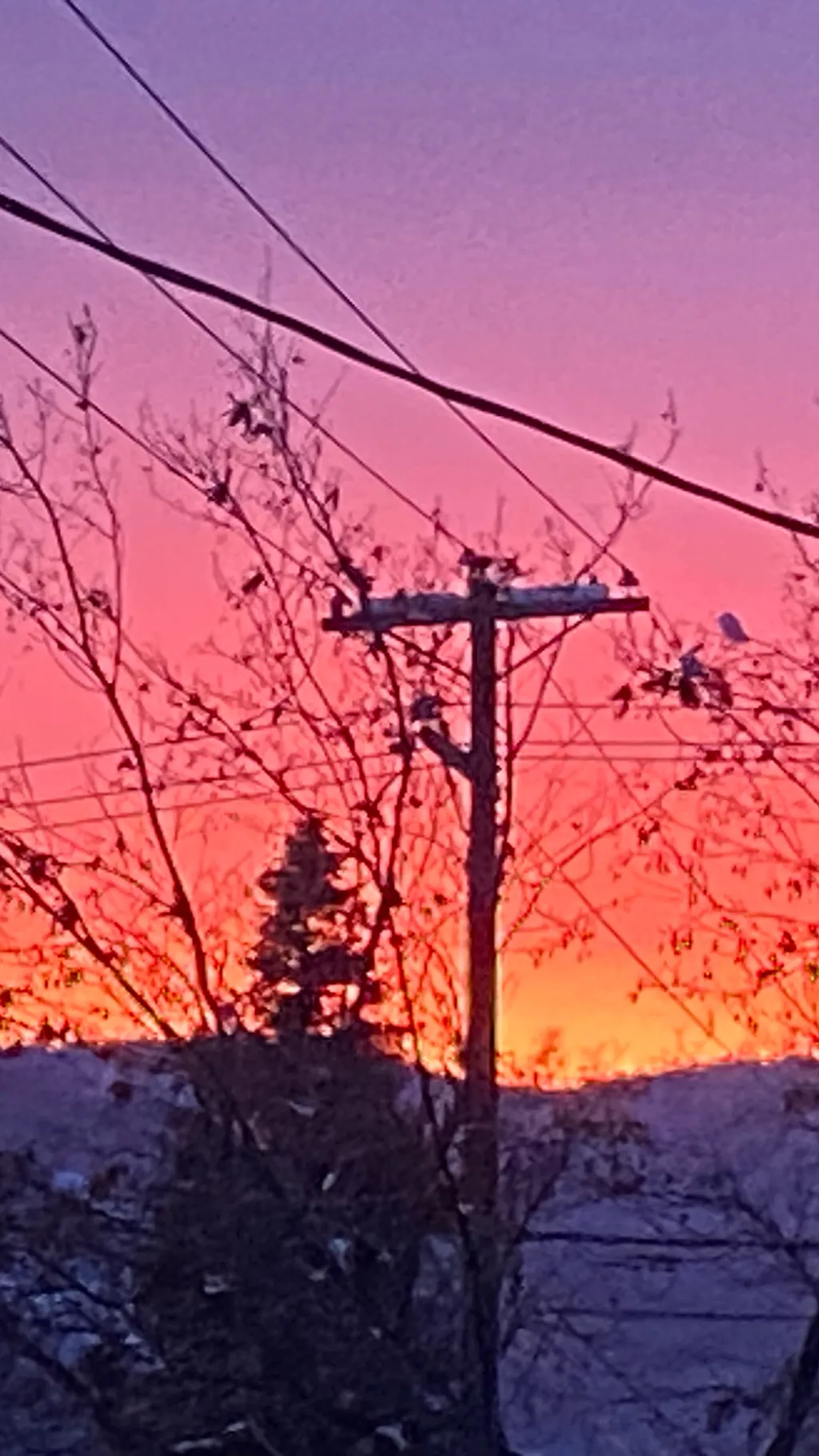 ai character: Hogwars  background