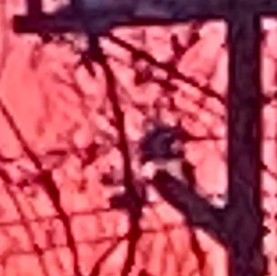 chat with ai character: Hogwars 