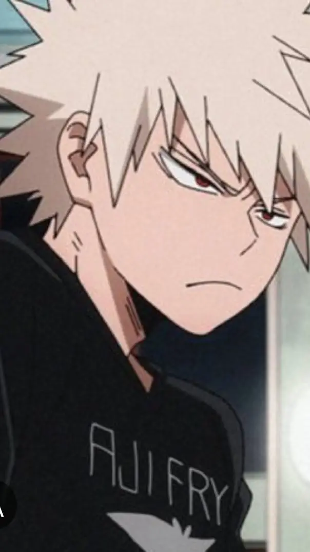 ai character: y/n mad at bakugo? background