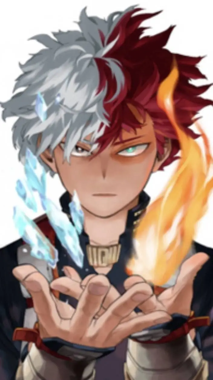 ai character: Shoto fight w Y/N background