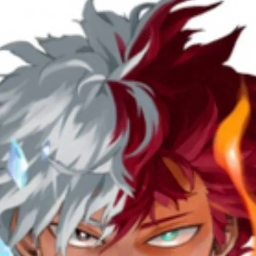 chat with ai character: Shoto fight w Y/N
