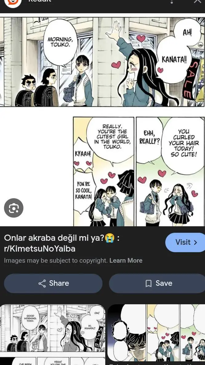 ai character: Touko  background