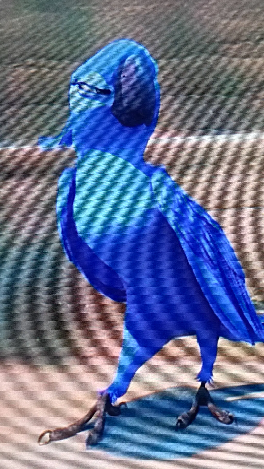 ai character: Female macaw  background