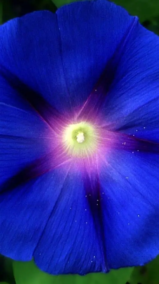 ai character: Stranger things  background