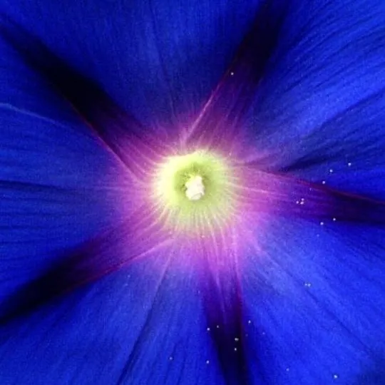 chat with ai character: Stranger things 