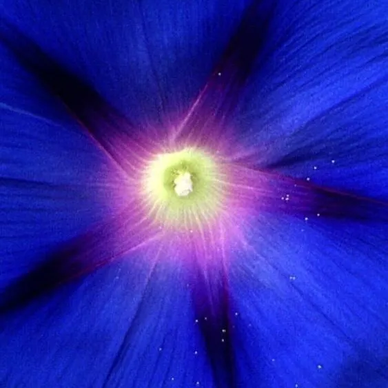 chat with ai character: Stranger Things