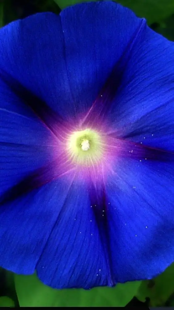 ai character: stranger things  background