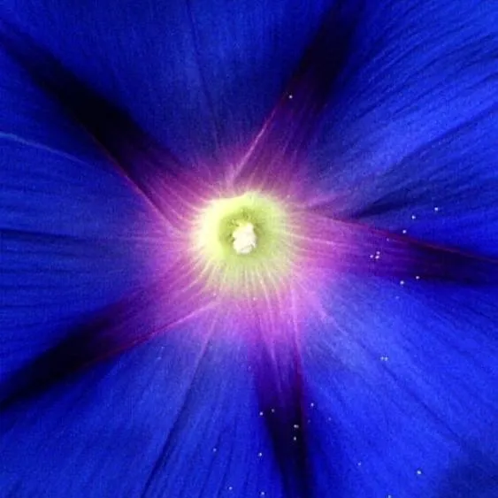 chat with ai character: stranger things 