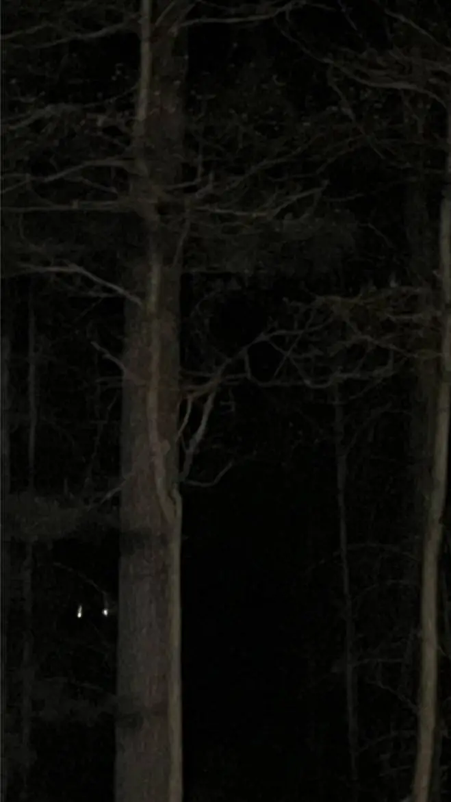 ai character: PJO background