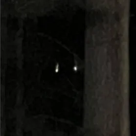 chat with ai character: PJO