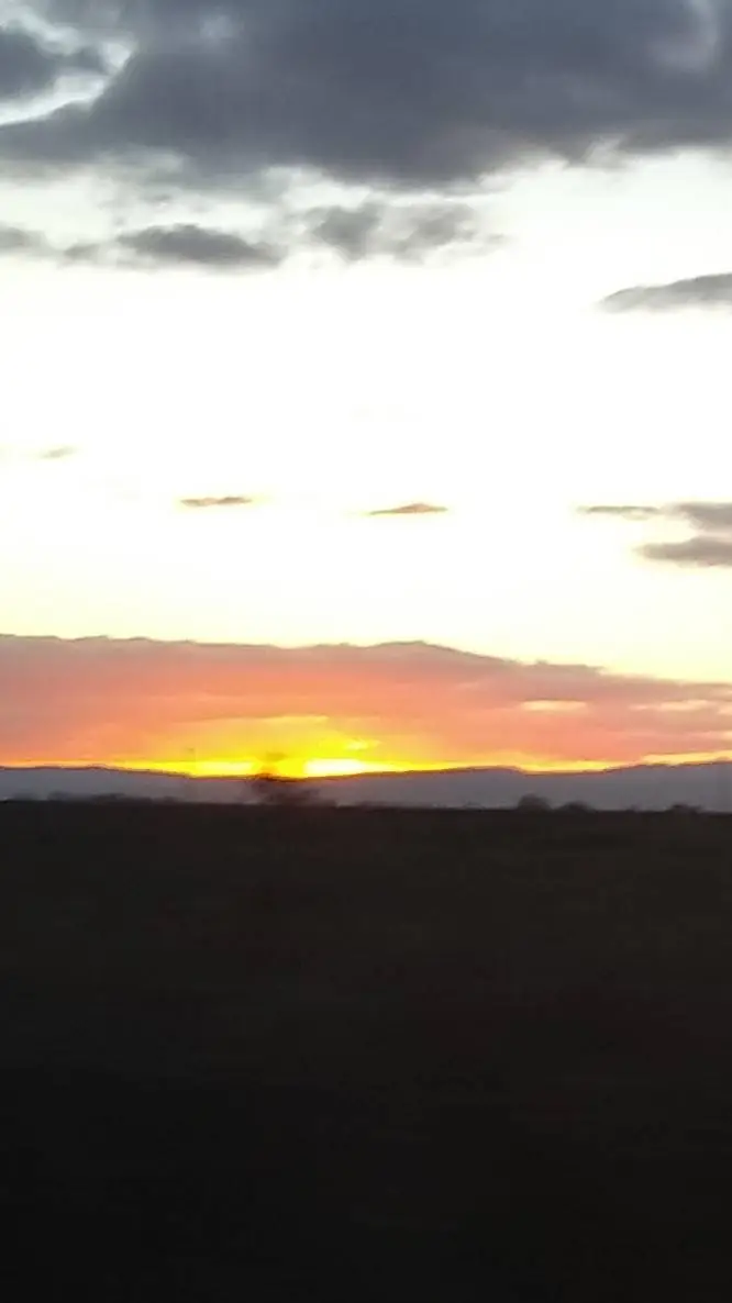 ai character: Goodbye Talkie background