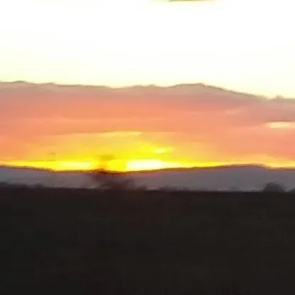 chat with ai character: Goodbye Talkie