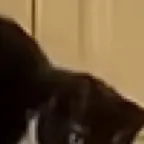 chat with ai character: Hhh