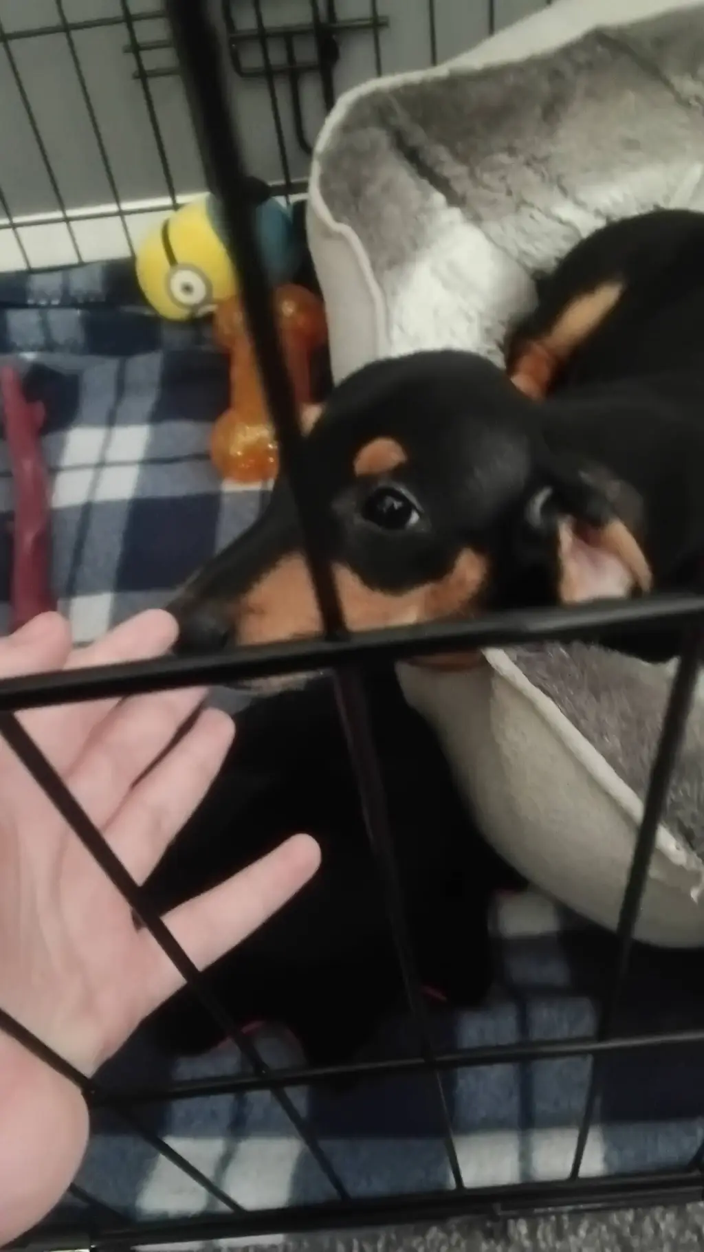 ai character: The Meddler /TAWOG background