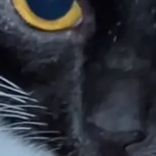 chat with ai character: Jasmine