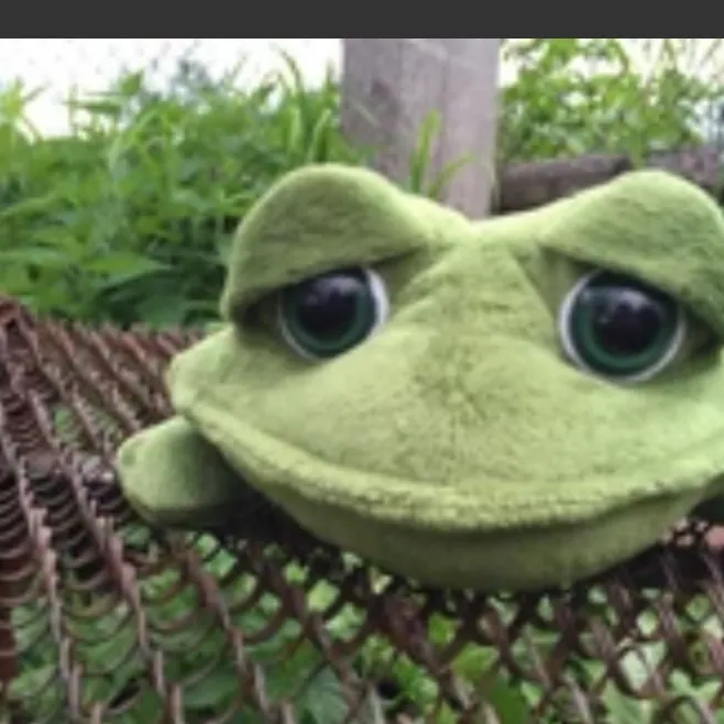 chat with ai character: Plush Froggy